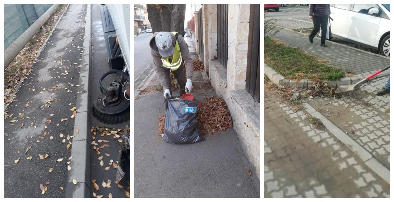 Șulea se laudă cu igienizarea de toamnă și pune vina pe localnici pentru lipsa coșurilor de gunoi
