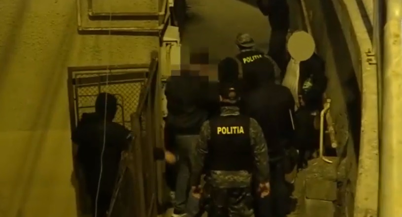Captură impresionantă de cannabis