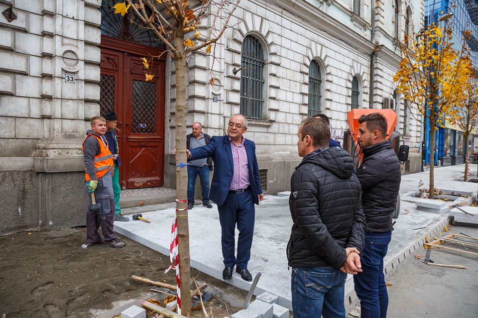 S-au plantat primii arbori pe strada Regele Ferdinand
