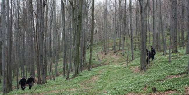 găsită moartă în pădure. Cadavrul se afla într-o râpă adâncă de 35 de metri