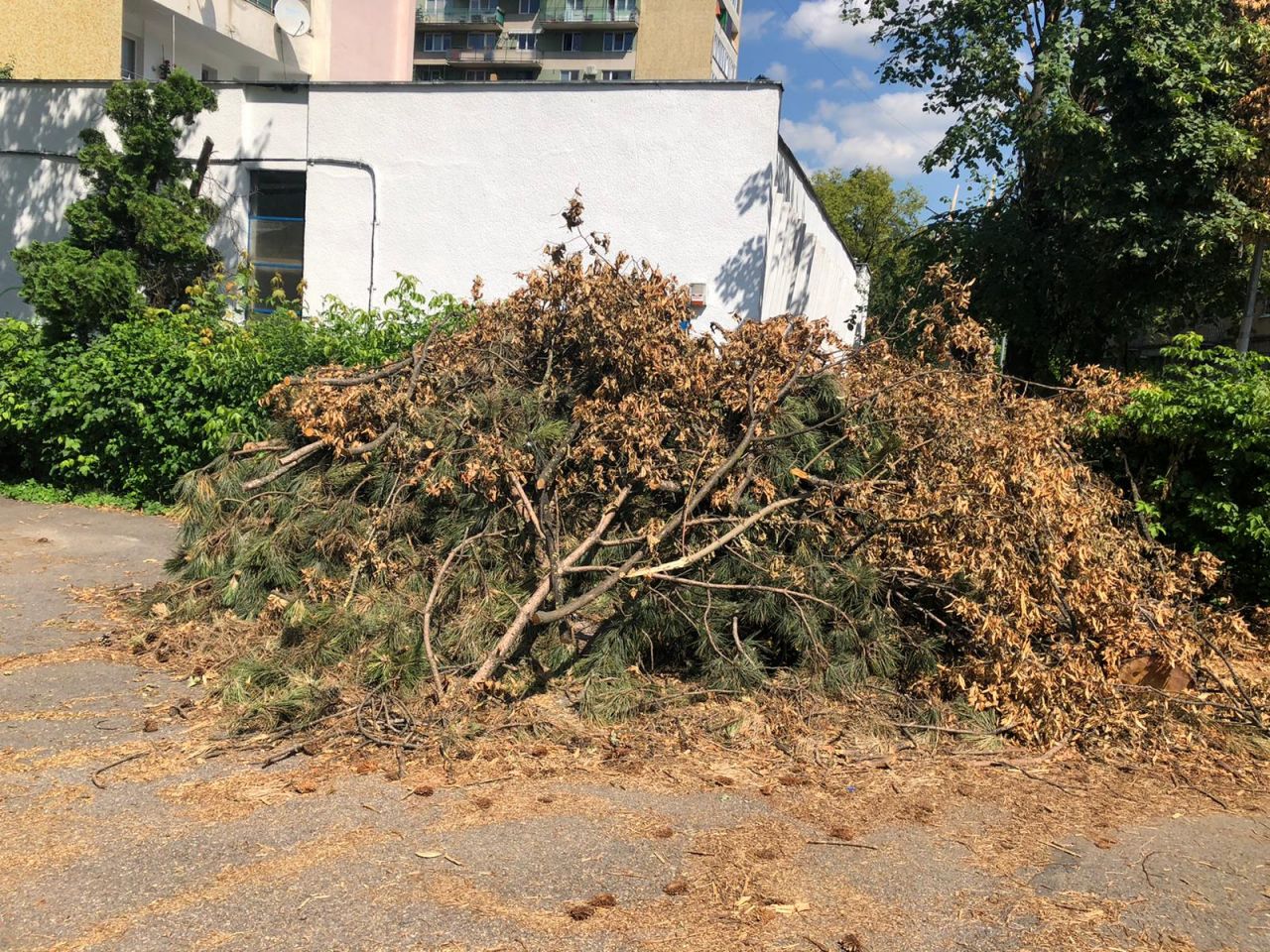 ca după bombardament