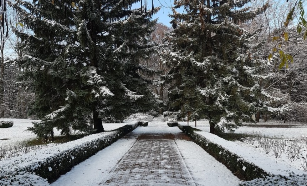 Accesul în Parcul Babeș și Grădina Botanică din Cluj-Napoca