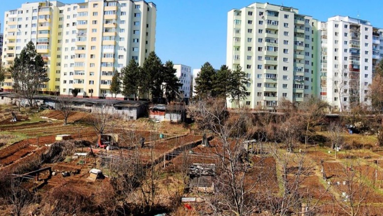 Revine grădinăritul „la bloc” în Cluj-Napoca?