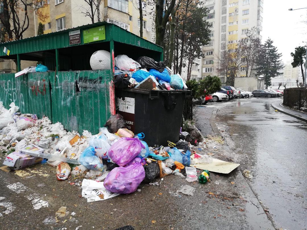 Gunoaie peste tot! Prostituatele de pe Calea Turzii