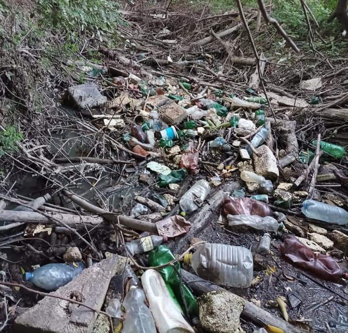 împânzit de GUNOAIE. Apel lansat autorităților: „Situația nu se rezolvă cu acțiuni voluntare”.