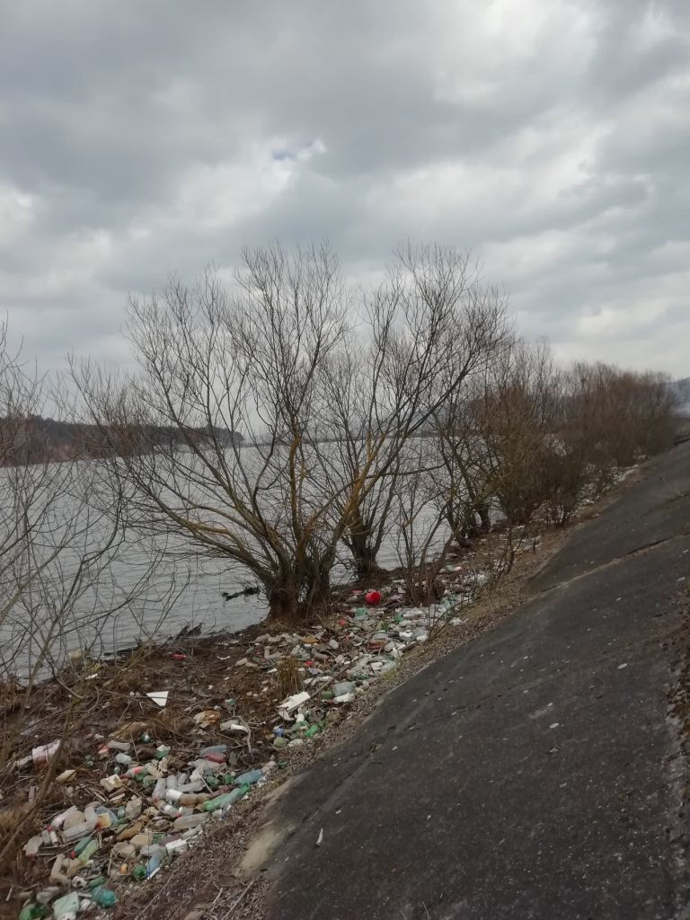 Sesizare colectivă pentru gunoaiele de pe Someș.