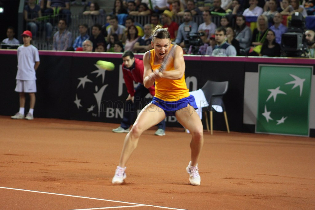 Halep a jucat ultimele meciuri din Fed Cup la Cluj, dar preferă Bucureştiul pentru următorul joc