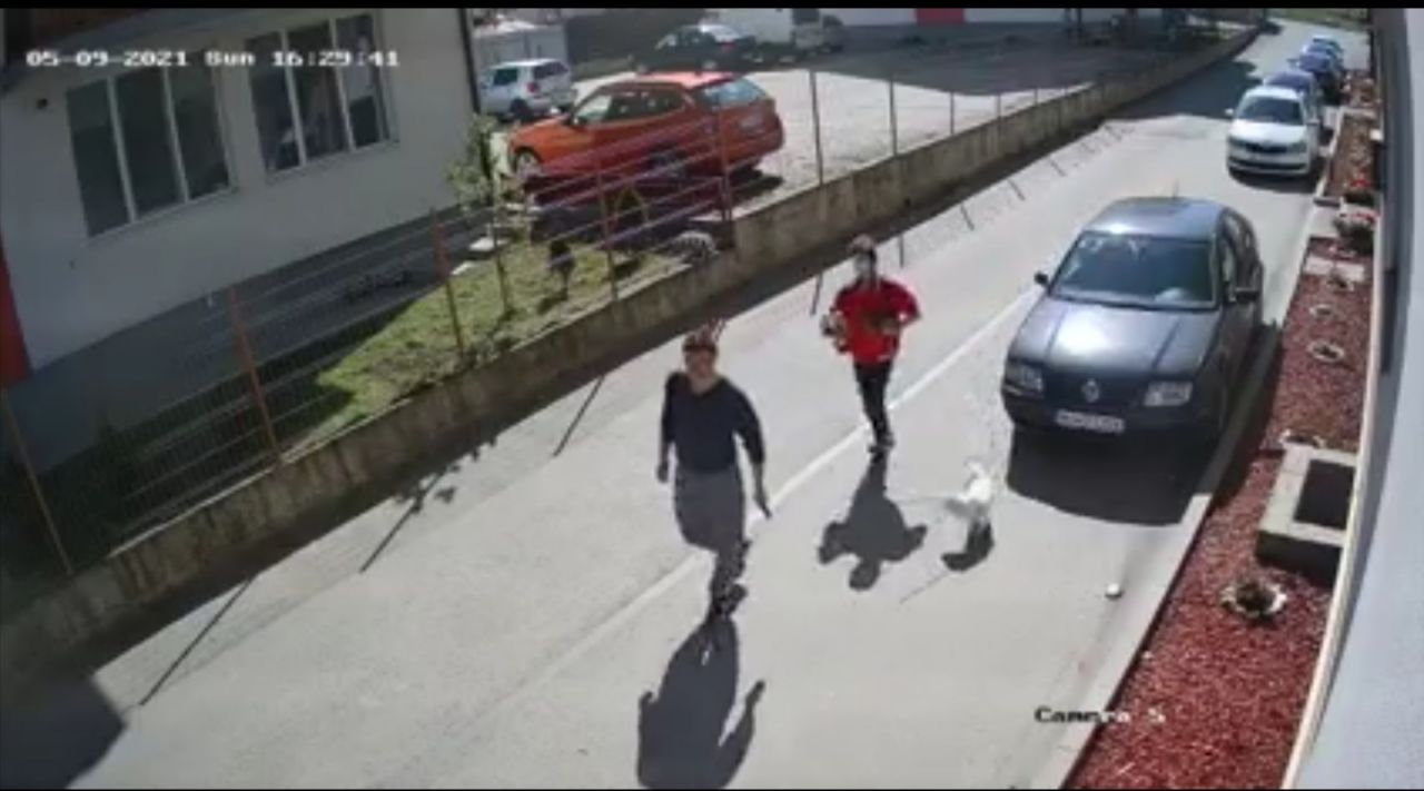 surprinși de camerele video „în acțiune”.