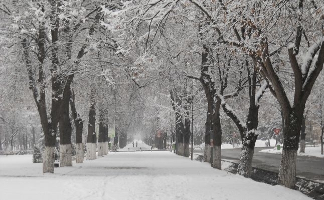 Duminică