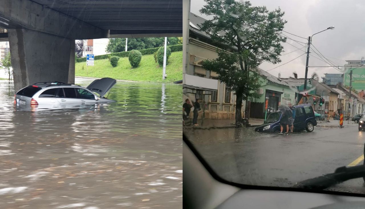 copaci căzuți și subsoluri inundate