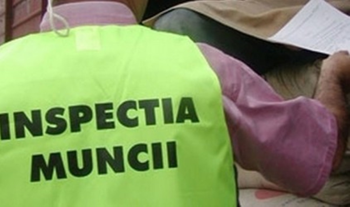 Șoferii