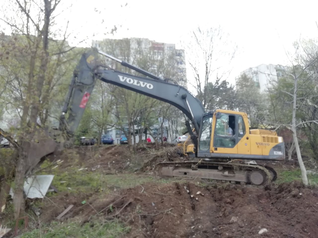 În plină pandemie