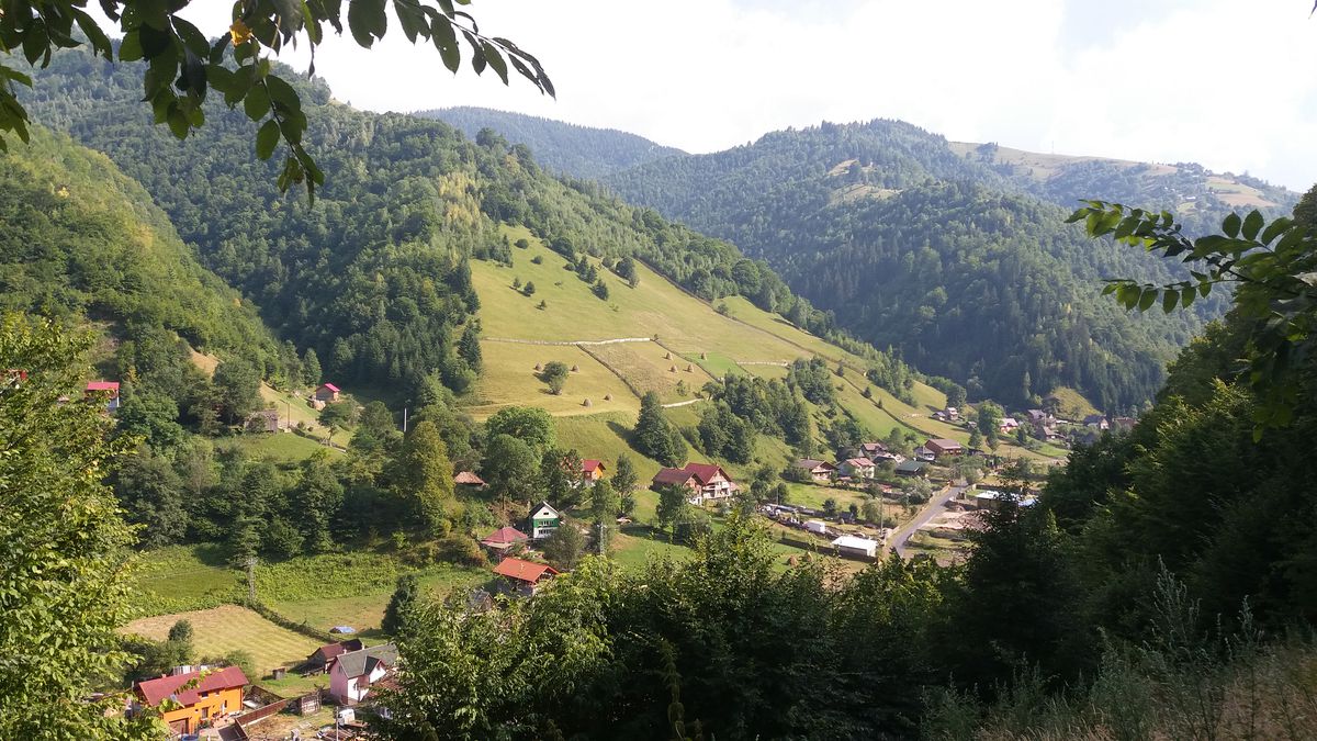 restricțiile sunt istorie