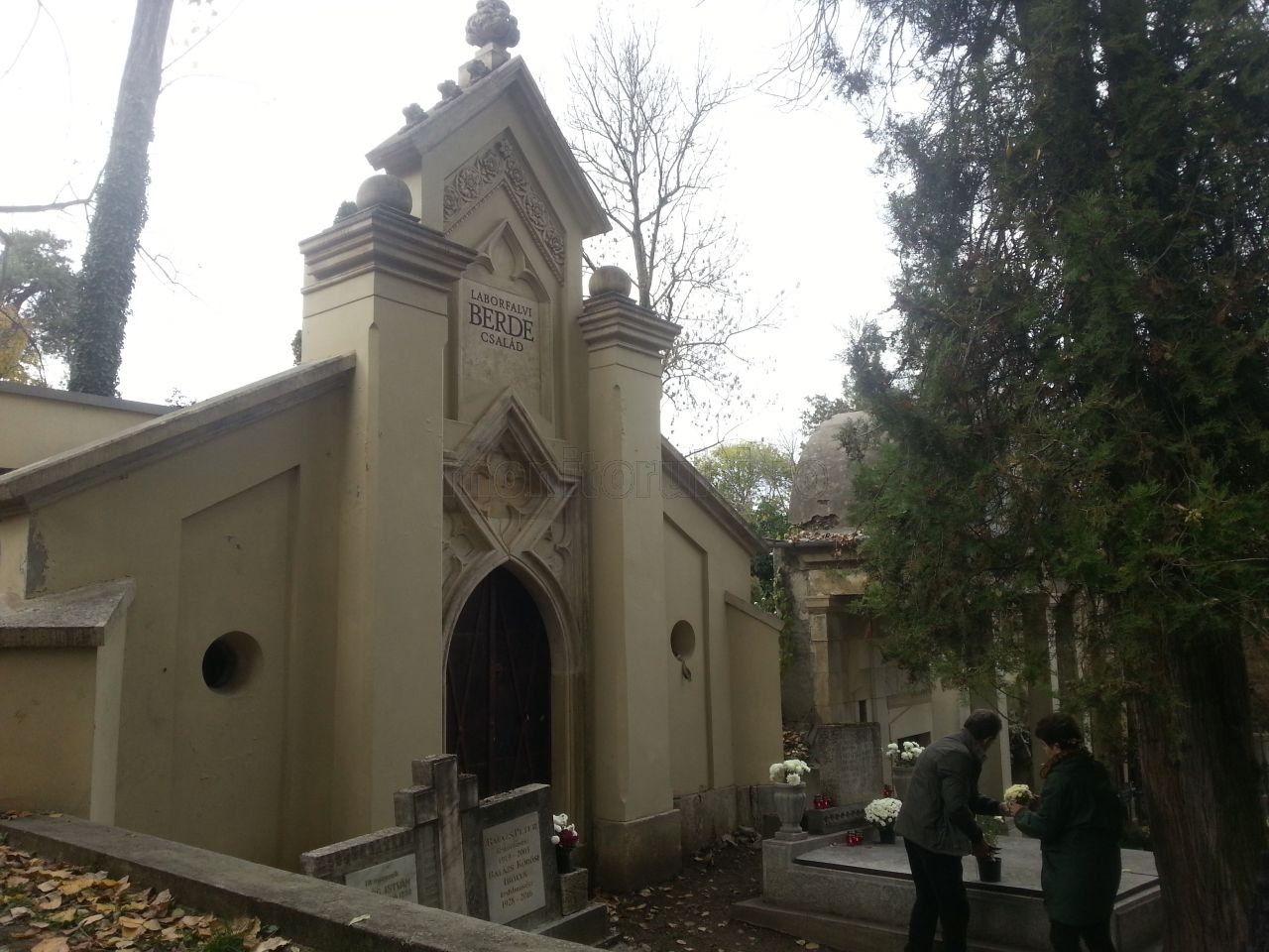 Cavourile cu clopoţel au devenit în trecut o modă în Europa