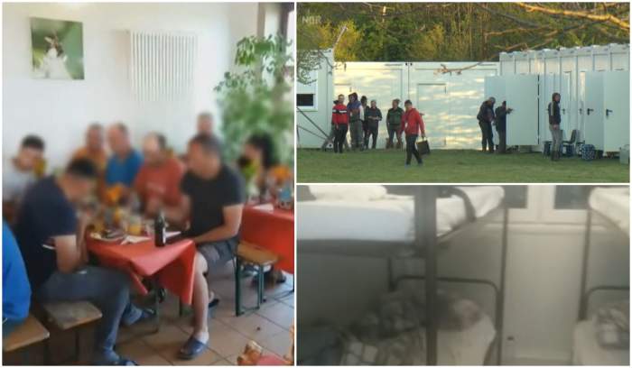 Românii plecați la cules de sparanghel