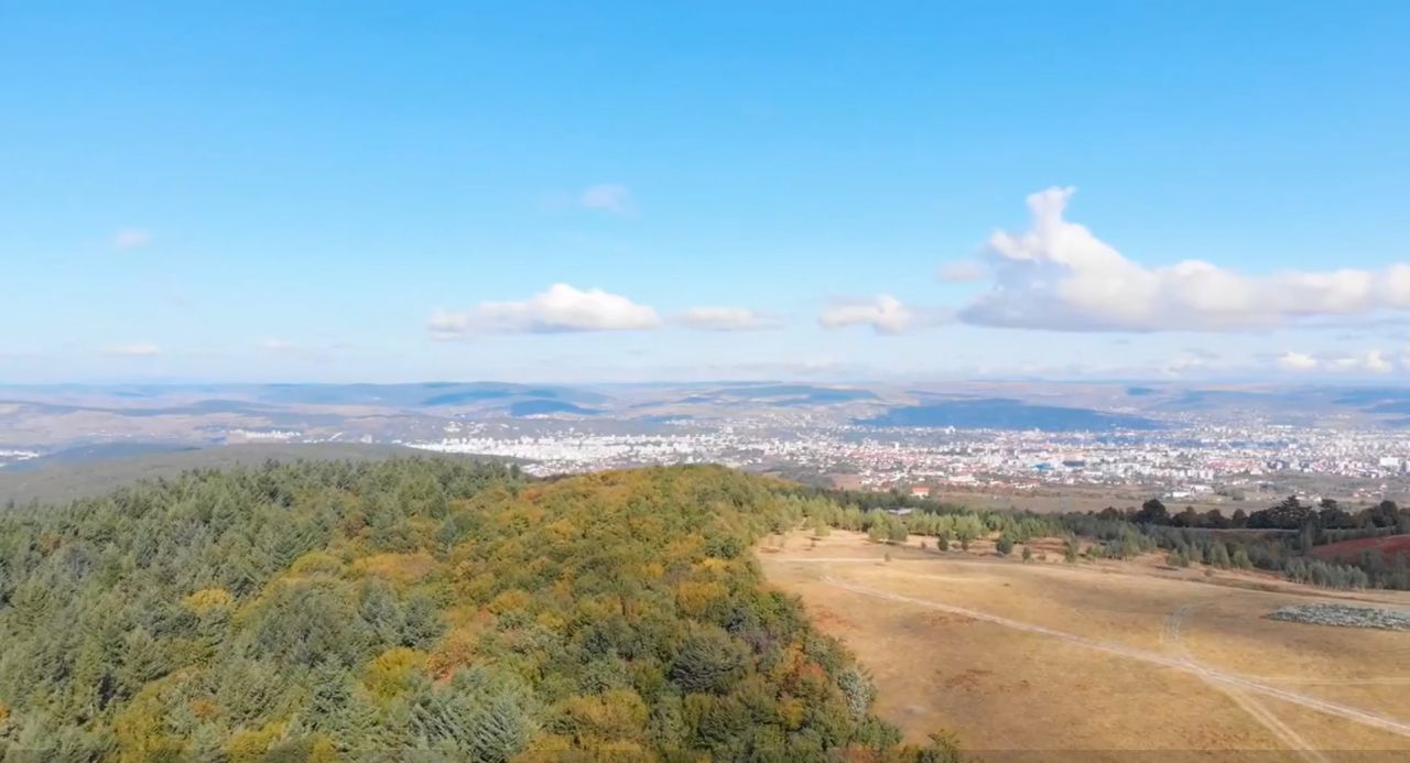 Ce își doresc clujenii de la pădurea-parc Făget? Printre propuneri