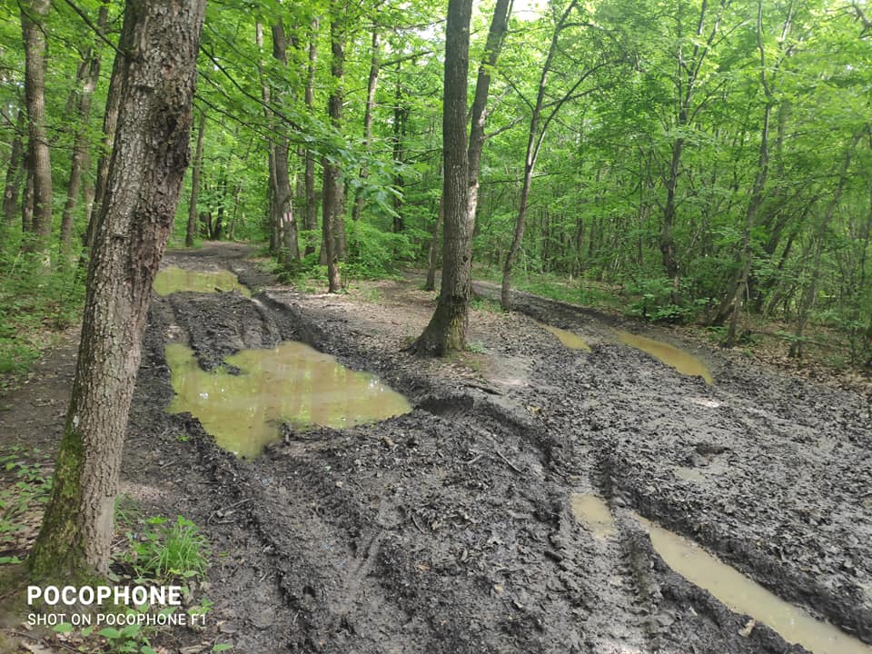 DISTRUSĂ de hoții de lemne și de cei cu mașini off-road: „De ce facem praf potecile?” FOTO.