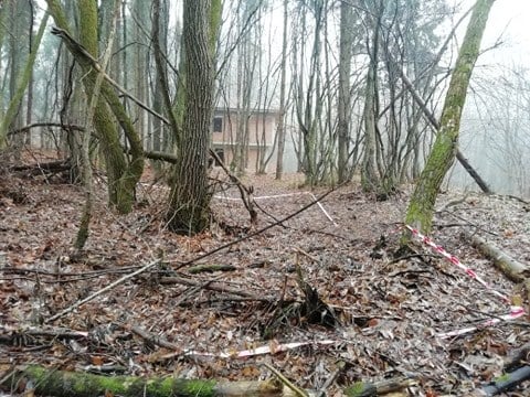 gunoaie și case noi în Pădurea Făget. Dohotaru: „Mă revoltă ce se întâmplă! Este clar că iubim diferit pădurile”. FOTO