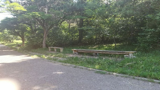 nemulțumiți de traseul Centurii Metropolitan prin Parcul Colina. Boc promite amenajarea parcului „pe 5