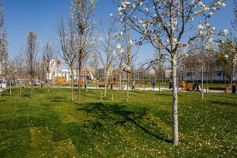 Cum ne vom relaxa după 15 mai? Clujenii au fost cuminți: „Parcurile nu sunt închise ca la București!”