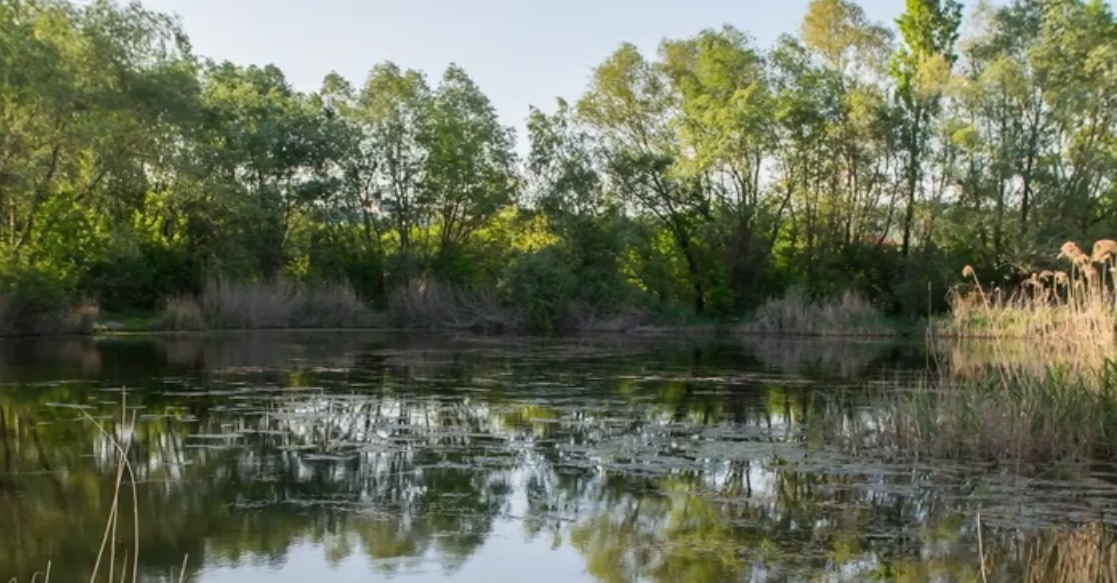 Clujenii nu se lasă! Cer acces liber în Parcul Est