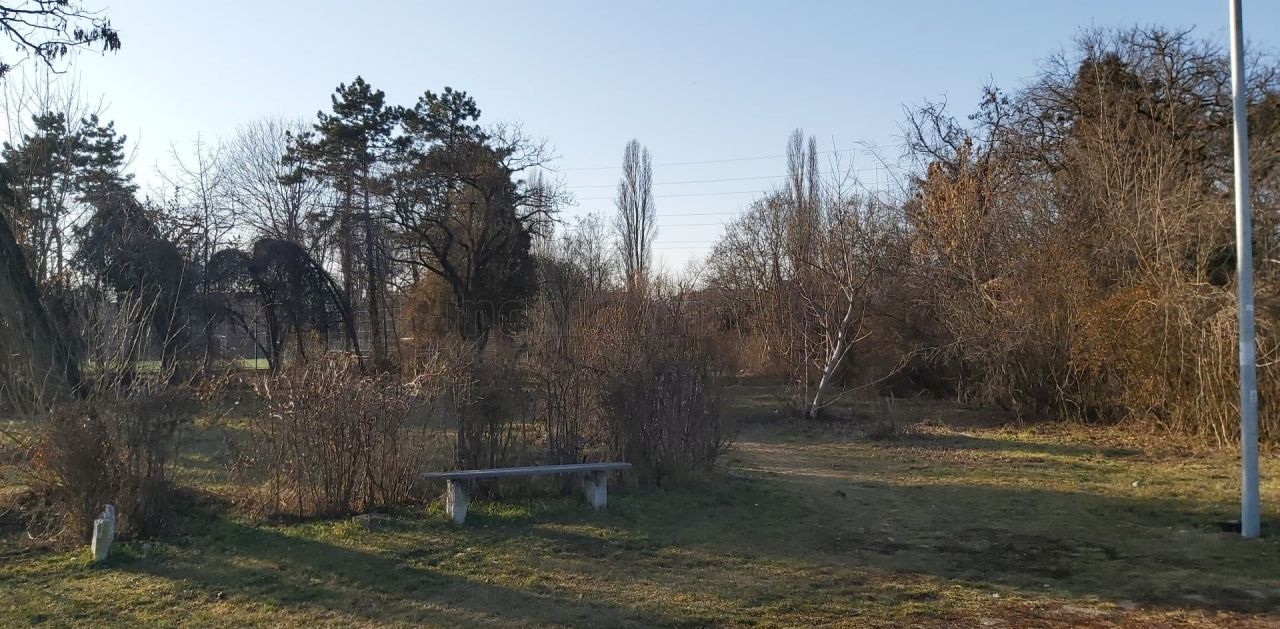 Ce se întâmplă cu Parcul Feroviarilor? Primarul Emil Boc speră la finanțare europeană