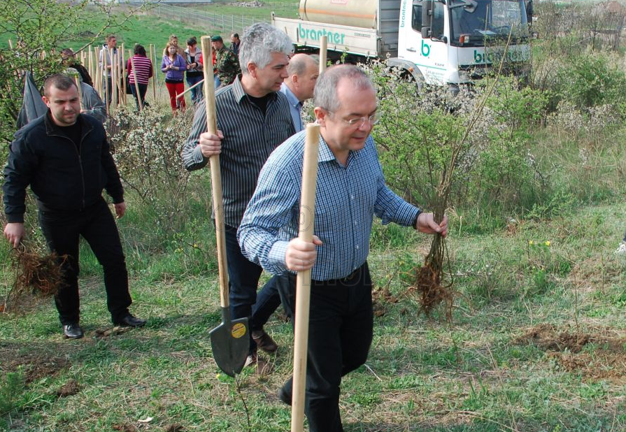 parcultineretului