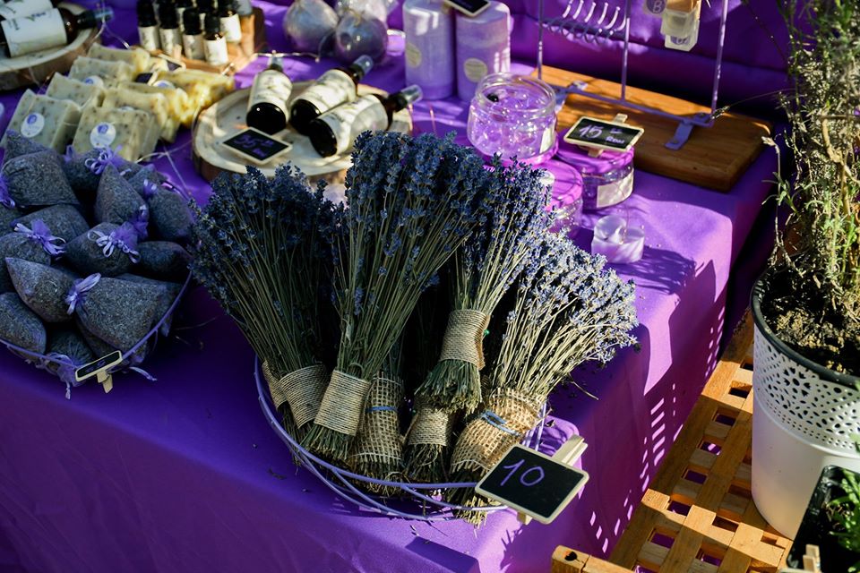 FOTO Lavanda