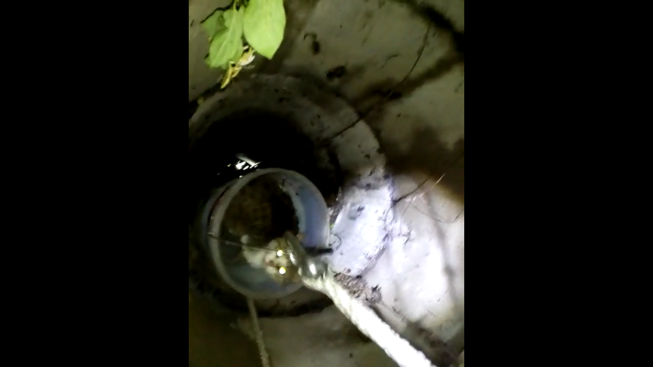Misiune inedită de salvare a pompierilor clujeni. O pisică a scăpat cu viață