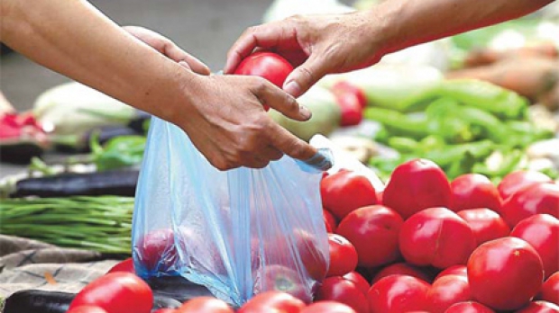 Cât de ecologişti sunt românii: Aproape trei sferturi dintre români REFOLOSESC pungile de cumpărături
