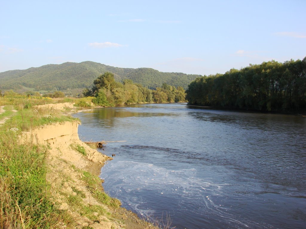 Câinelea căzut în Someş