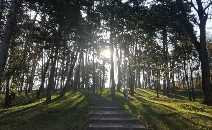 Senatul a dat undă verde ariilor naturale urbane. Se visează la (și) mai mult „verde” în Cluj
