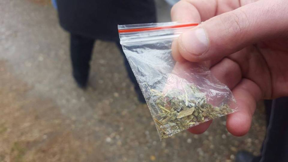 Prinşi cu etnobotanice în parc şi în Pădurea Hoia
