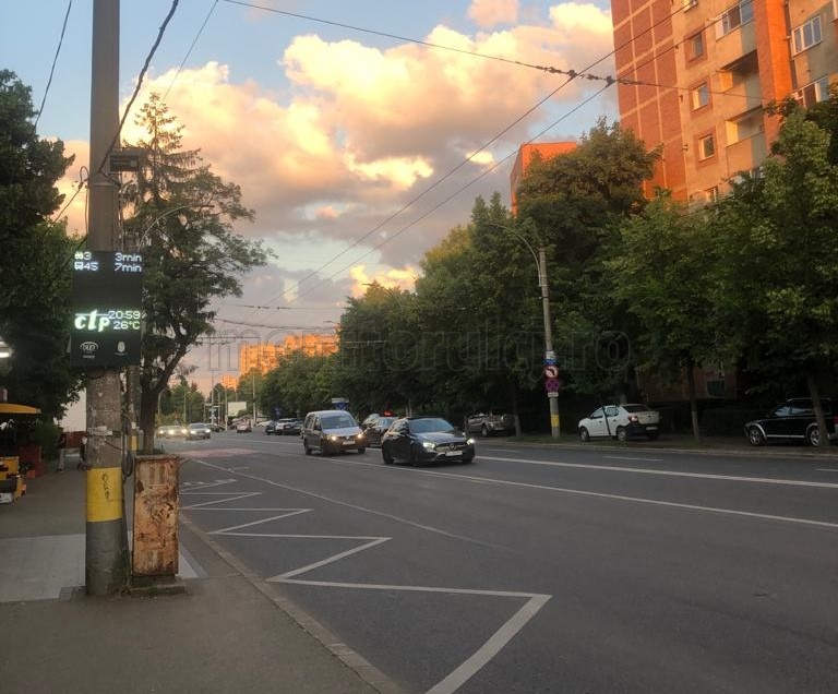 lovit în plin de o mașină pe B-dul Nicolae Titulescu. Stăpân: „L-a lovit tare. S-a rupt bara”