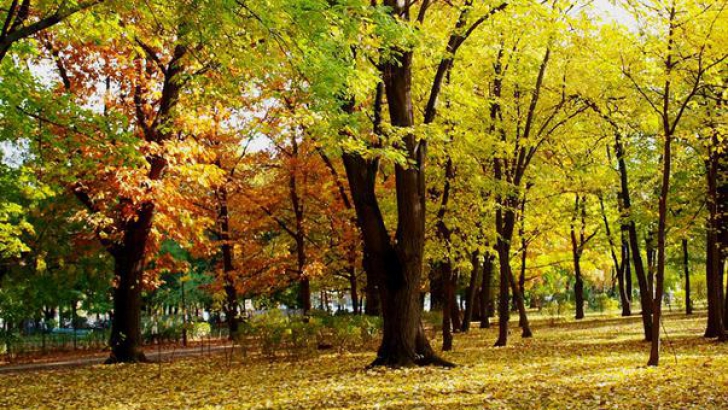 Vremea se va răci în următoarele zile. Precipitații prognozate în toată țara între 27 și 30 octombrie
