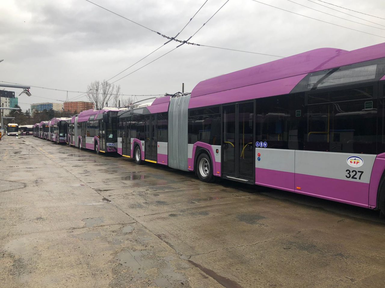 Troleibuzele nou-nouțe au pornit la drum. 50% din flota CTP este nepoluantă. Apar trei trasee noi!