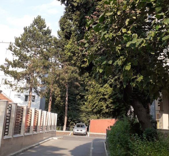 riscând viața pietonilor.