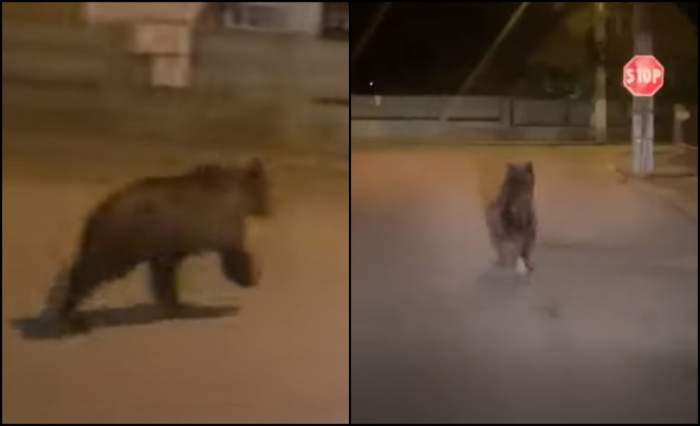 Avertizare RO-ALERT pentru locuitorii din Câmpia Turzii! Accesul pe străzi