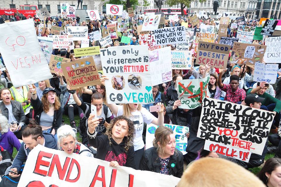 Premieră la Cluj: Marş vegan pentru apărarea drepturilor animalelor  Sursa foto Facebook Vegan în Cluj