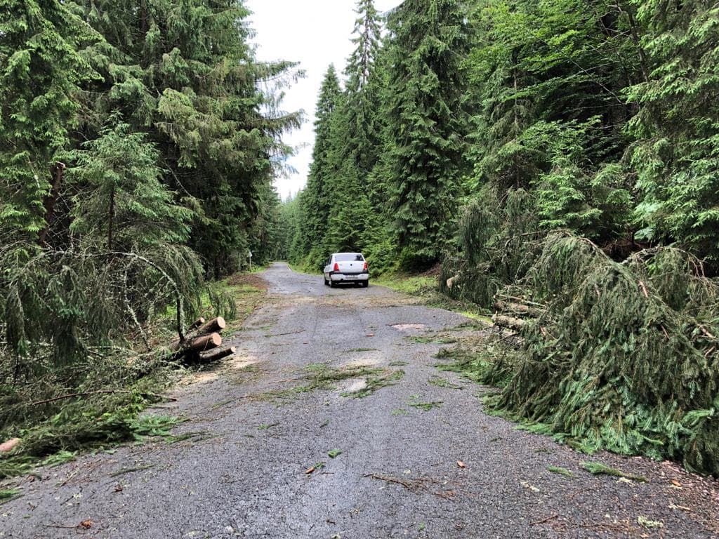 FOTO SPECTACULOS Prăpăd pe „Transursoaia”