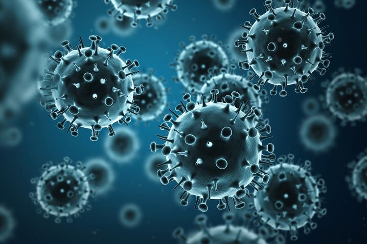 Un VIRUS NOU