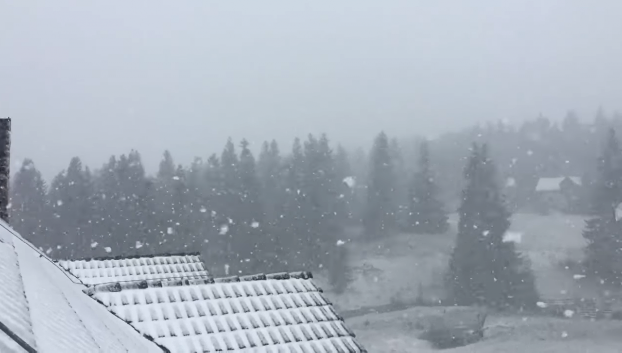 Ninge ca în povești în stațiunile din Cluj. Imagini de necrezut
