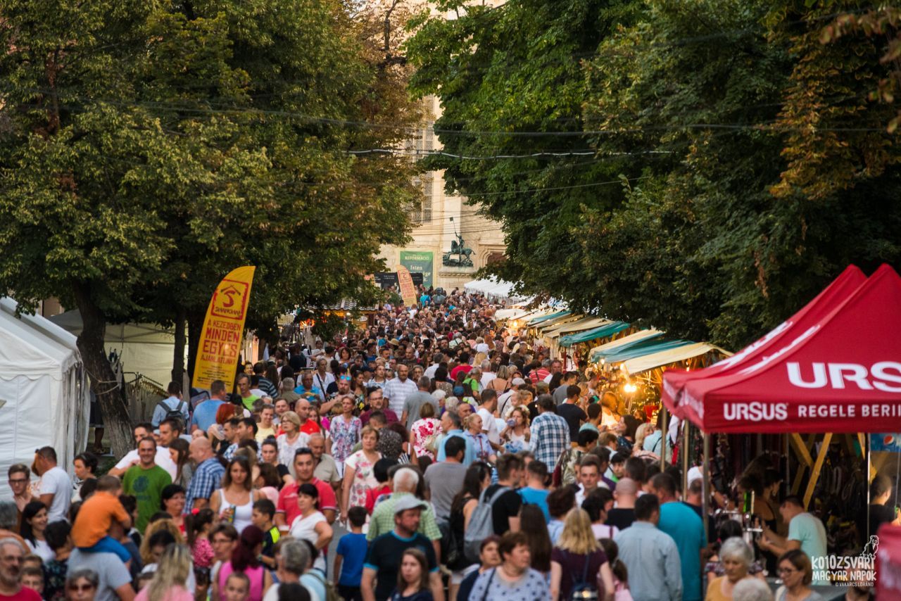Primăria Cluj-Napoca pune la bătaie 12