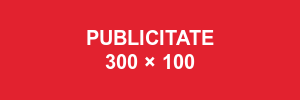 Placeholder — Homepage — după articolul hero